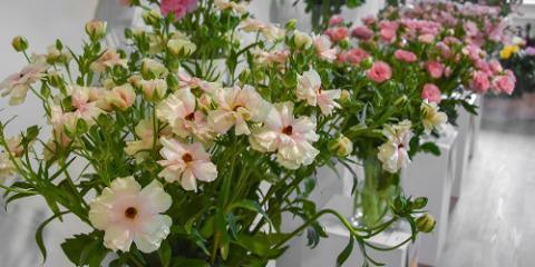 Ranuncoli spettacolari: alla scoperta delle varietà Butterfly e Romance