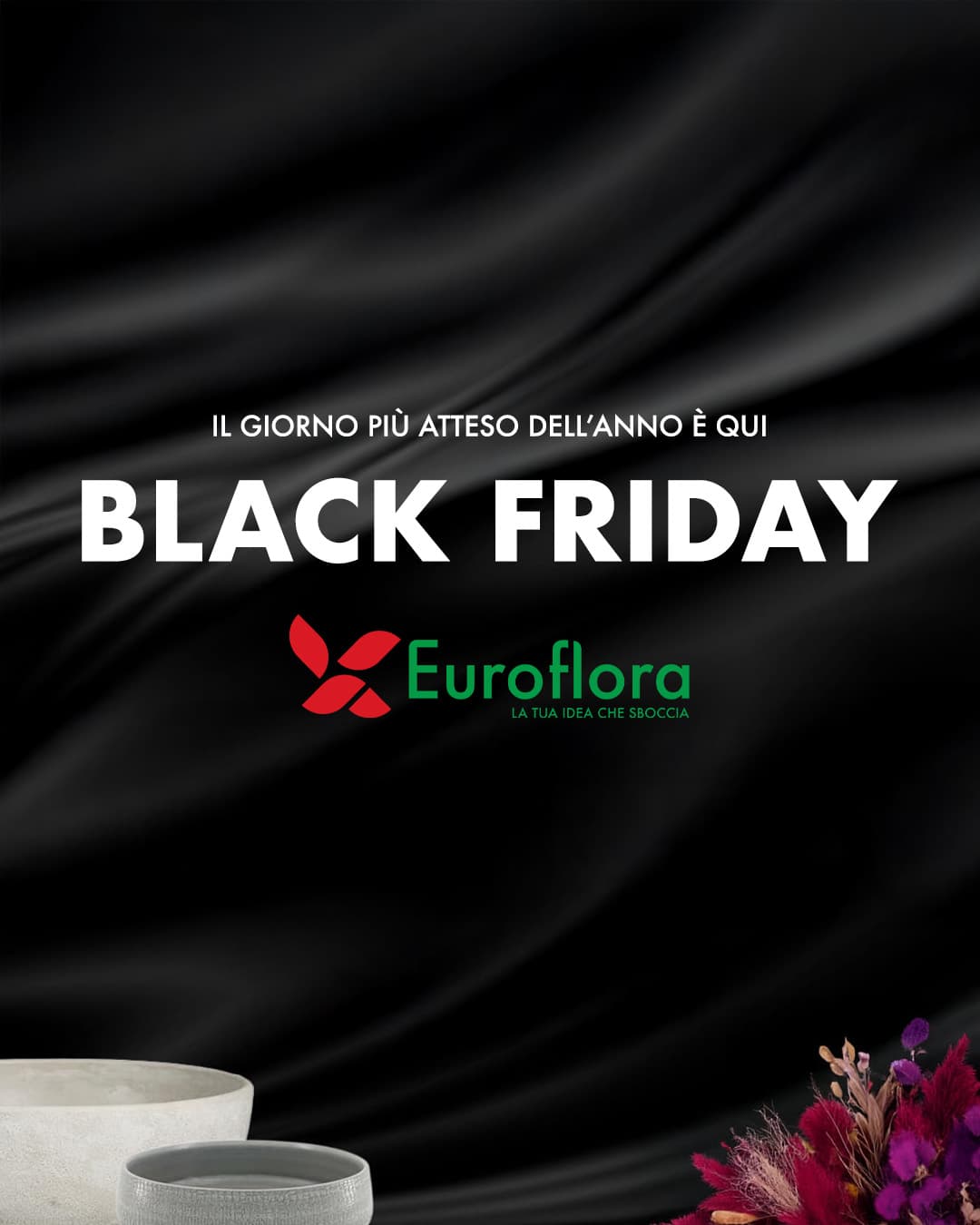 Black Friday Euroflora