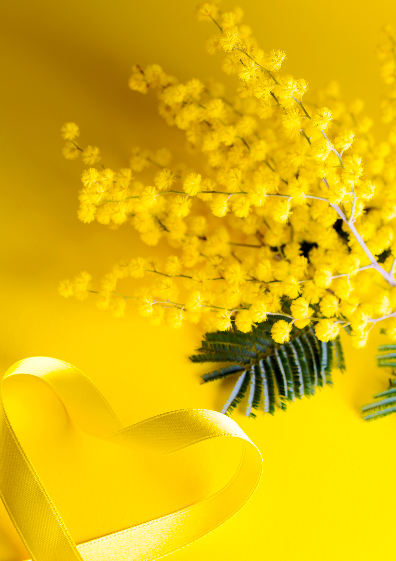 8 Marzo: Festa della DONNA